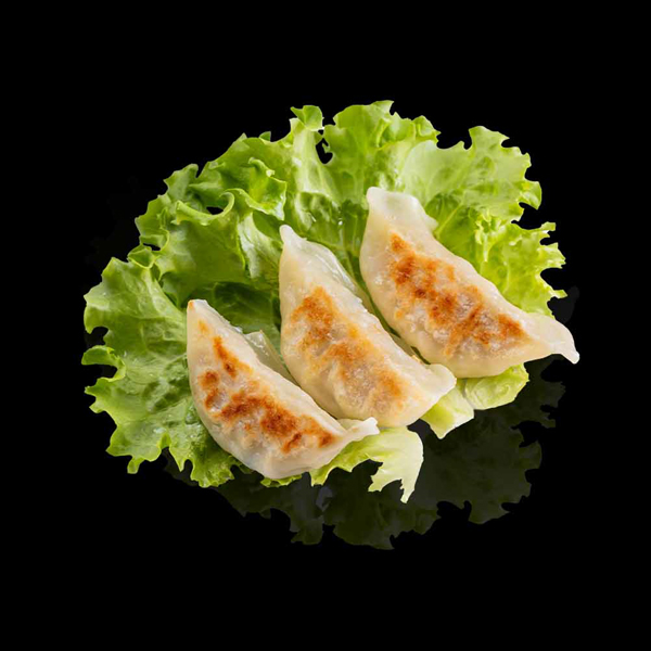 GYOZA DE POLLO Y VERDURAS