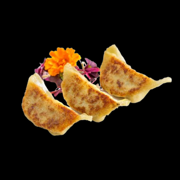 GYOZA DE VERDURAS